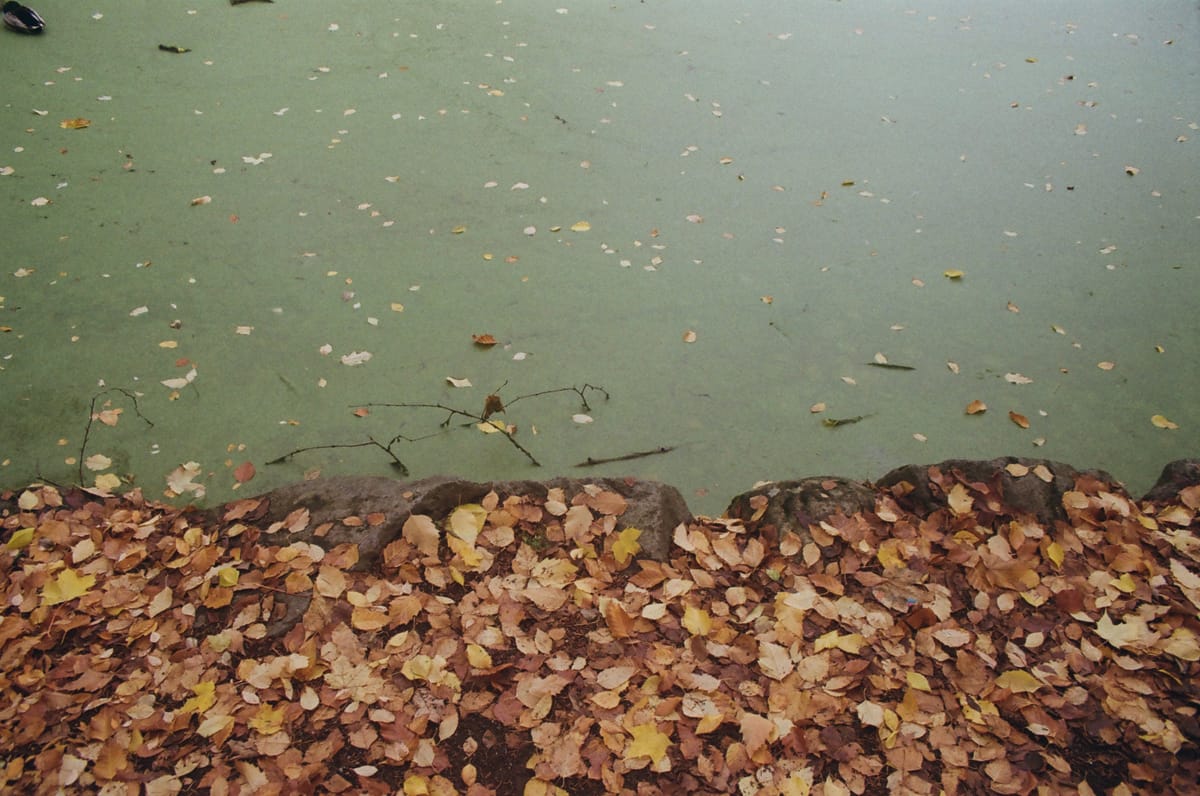 Episode 02. Thinking about Thinking… for Creativity (Part 2).