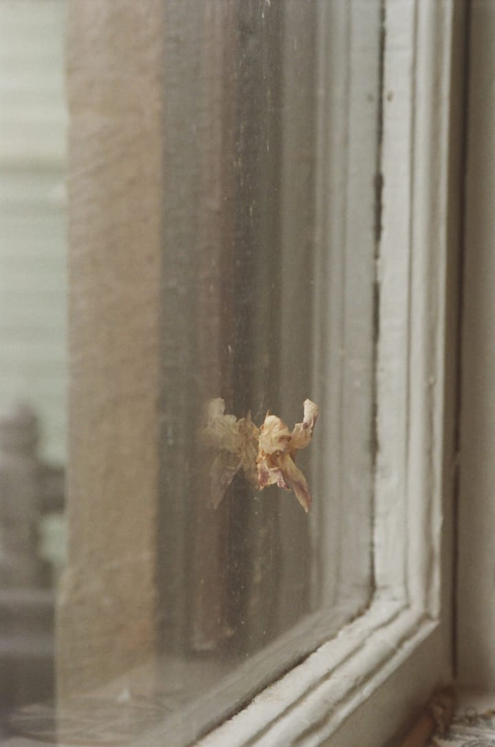 Follow-ups from Session 6 - Creative Compass 2025