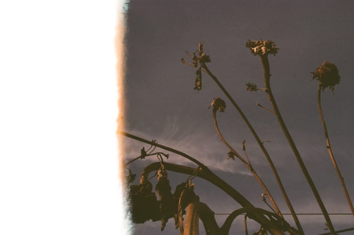 Prep for Session 8 - Creative Compass 2025